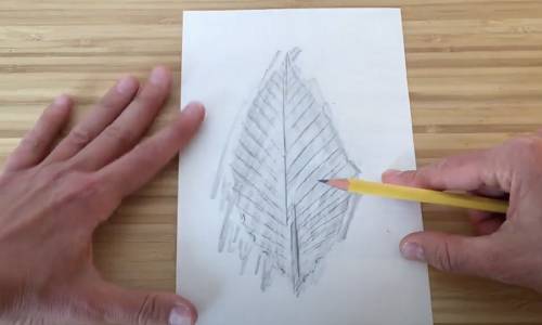 Make a Nature Rubbing for Earth Day!