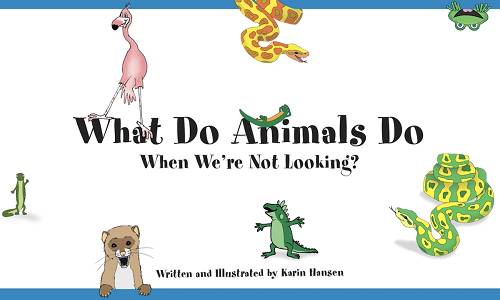 Storytime: What Do Animals Do When We're Not Looking?