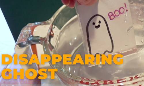The Disappearing Ghost Experiment
