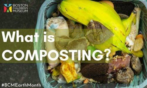 What is Composting and How Does it Work? 