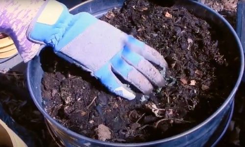 How to Start Composting at Home