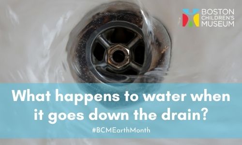 What Happens to Water When It Goes Down the Drain?