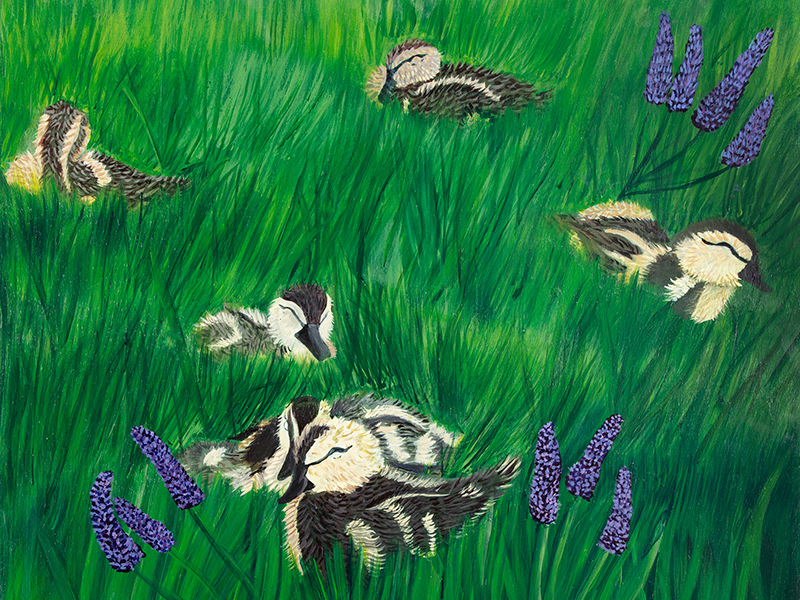 Illustration of ducks in a meadow with lavendar