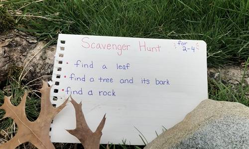 Explore Nature in Your Backyard