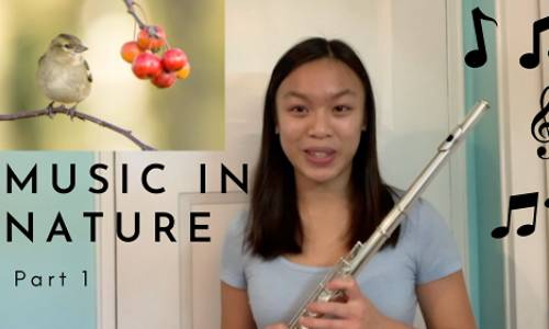 Find Music in Nature