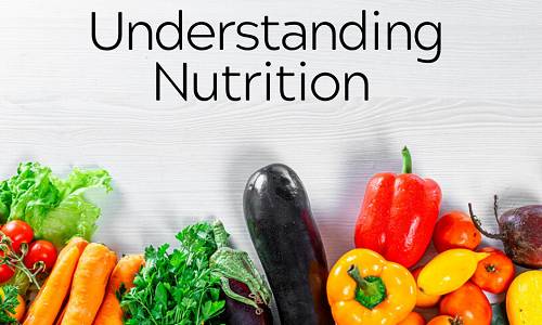 Friday Health Activity: Are YOU an Effective Food Detective?