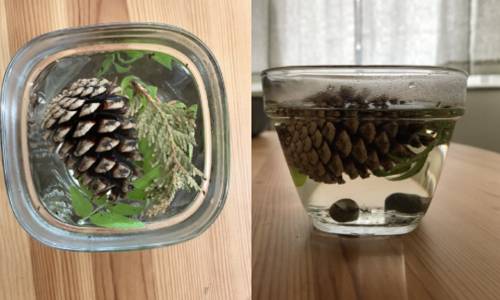 Frozen Ice Sculptures