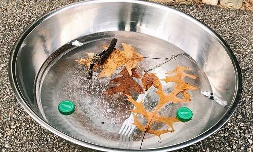 Giant Ice Experiment