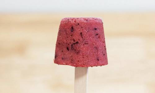 Homemade Ice Pops