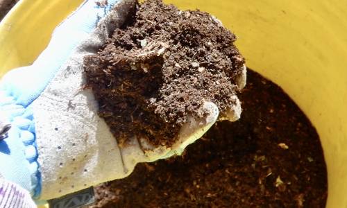 How to Start Composting at Home