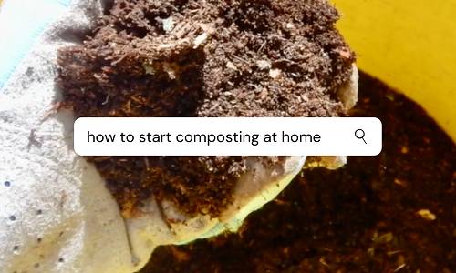 How to Start Composting at Home