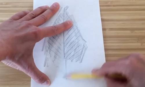 Make a Nature Rubbing